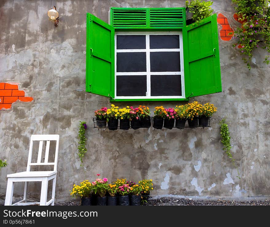 Window green in an old house decorated with flower pots and flowers With a white chair on concrete wall background