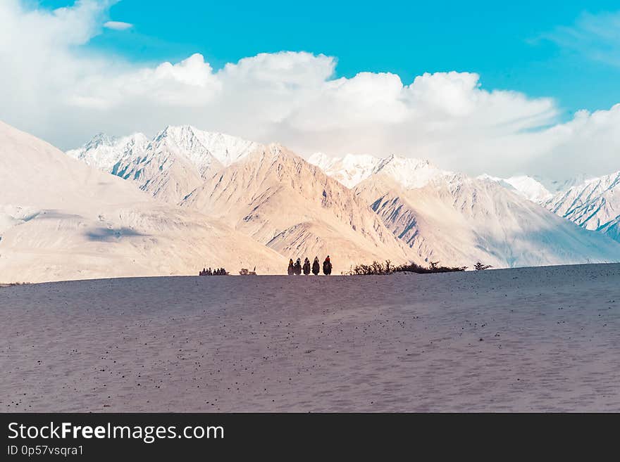 A group of people enjoy riding a camel walking on a sand dune in Hunder, Hunder is a village in the Leh district of Jammu and Kashmir, India.
