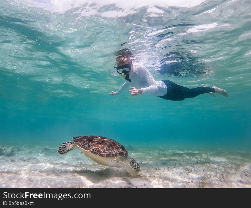 Woman on vacations wearing snokeling mask swimming with sea turtle in turquoise blue water of Gili islands, Indonesia