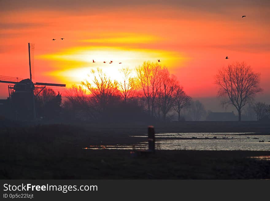 A sunrise in the Netherlands with a typical Dutch landscape and geese taking off. The sun behind the clouds with lake and a windmill.