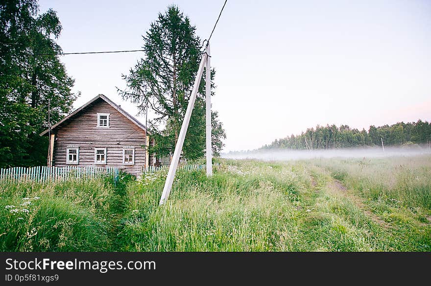 Autumn Fall Landscape Over Fields With Treetops Visible Through Fog