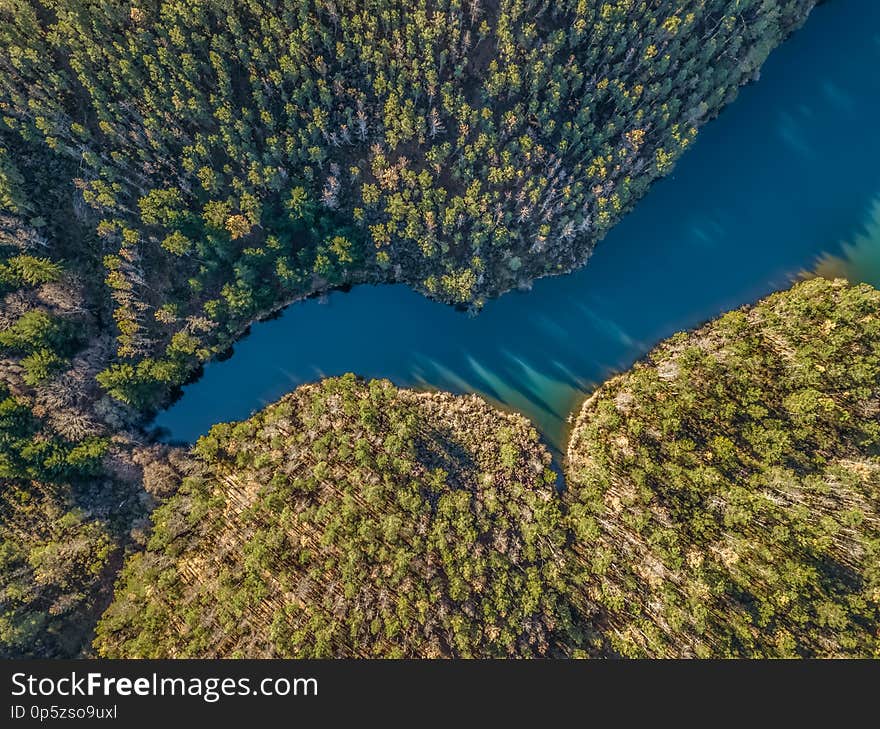 Aerial view of drone, artificial lake and dense forest on the banks, in Portugal river water blue nature natural trees vegetation green pine oaks colors flora top shadows shapes rocks autumn tops crown landscape places woods mountain season plant texture park area branches abstract wallpaper outdoor environment pattern background travel scenic photography