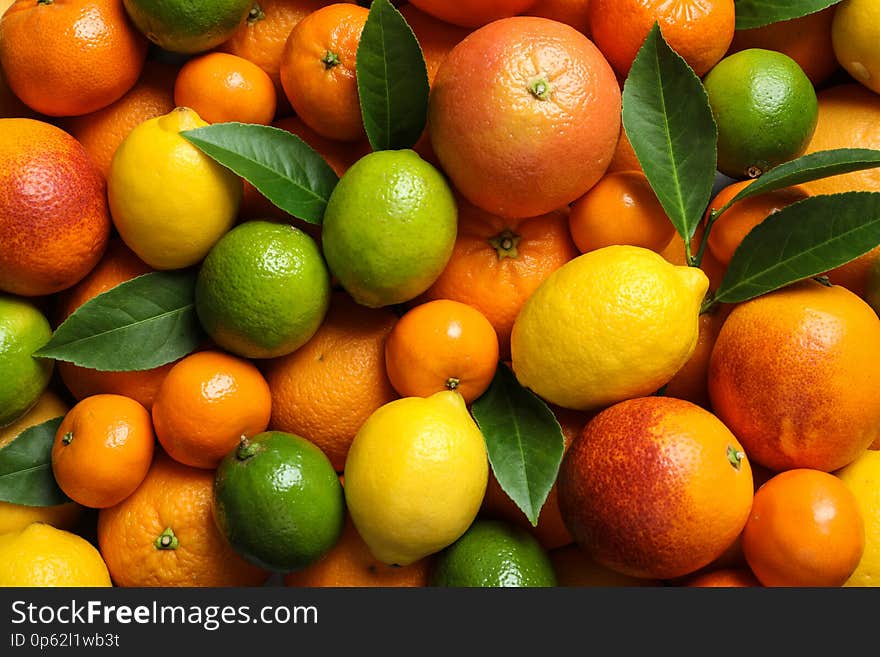 Different citrus fruits as background, top view