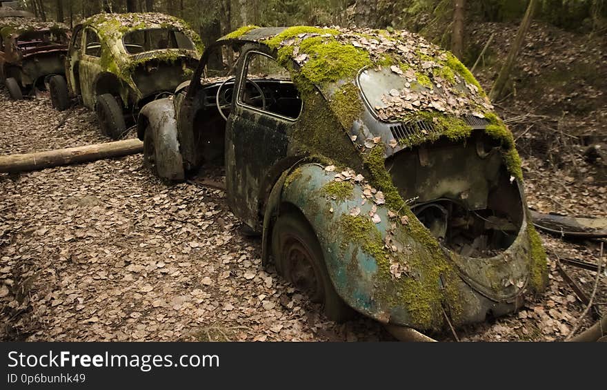 A row of veteran cars covered by moss and autumn leaves in scrapyard in Swedish forest. Bastnas. A row of veteran cars covered by moss and autumn leaves in scrapyard in Swedish forest. Bastnas.