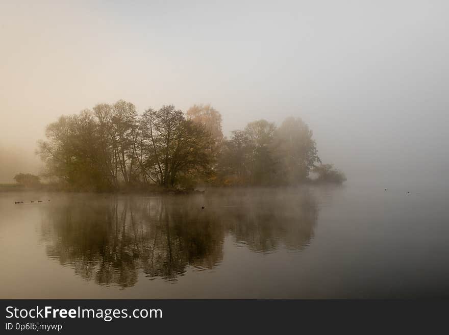 foggy island