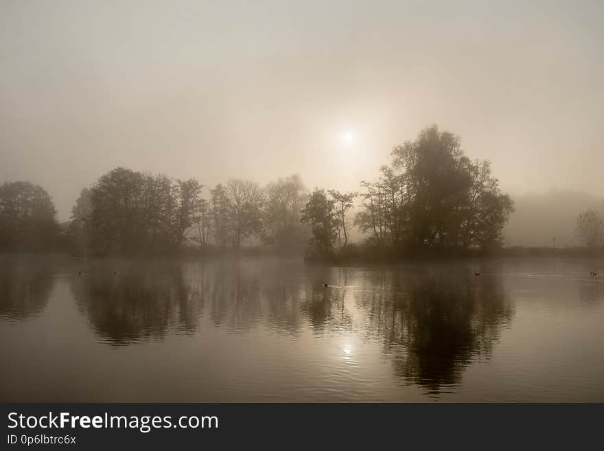 Autumn morning