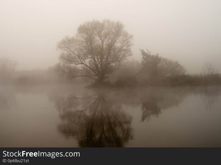 another photo from the &#x22;misty morning&#x22; series.