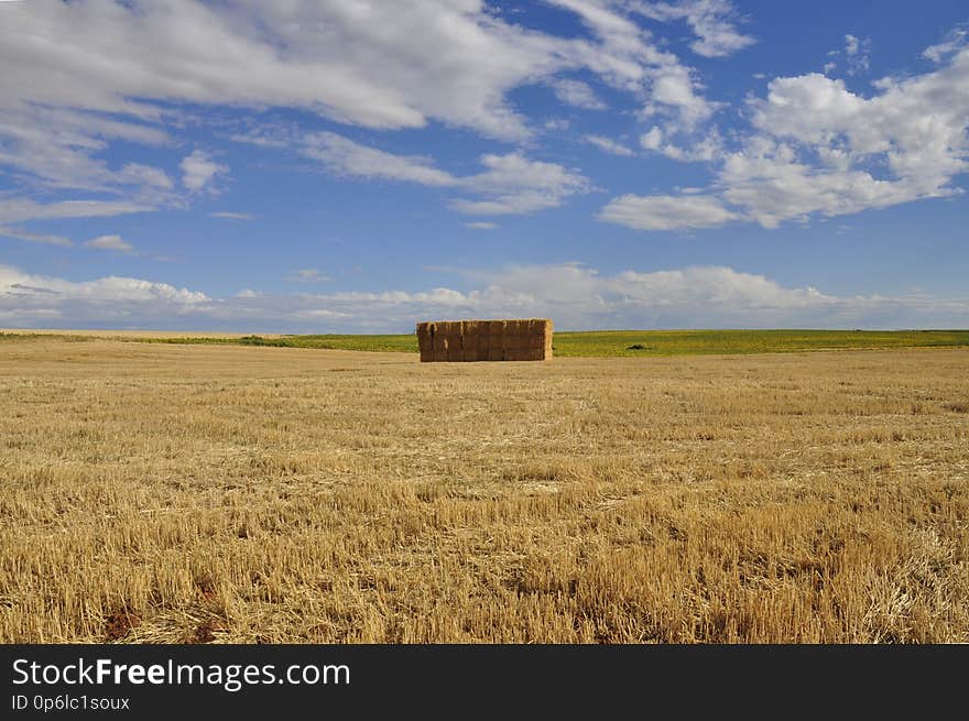 paisaje rural