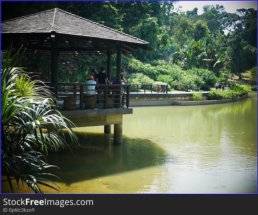 botanic gardens - feeding water creatures