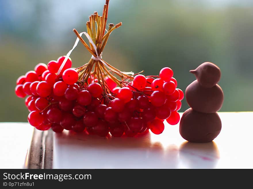 Red Guelder Rose - favorite berry of ukrainien people. It was sung in the songs and displayed in the art of entrie gentration. conceptual photo.