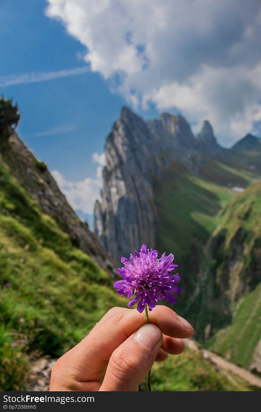 Exploratory Tour Through The Beautiful Appenzell Mountain Region