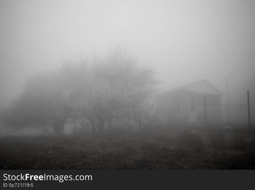 Mysterious house in the forest with fog and a tree. The old spooky house on the land of nowhere. Winter Landscape