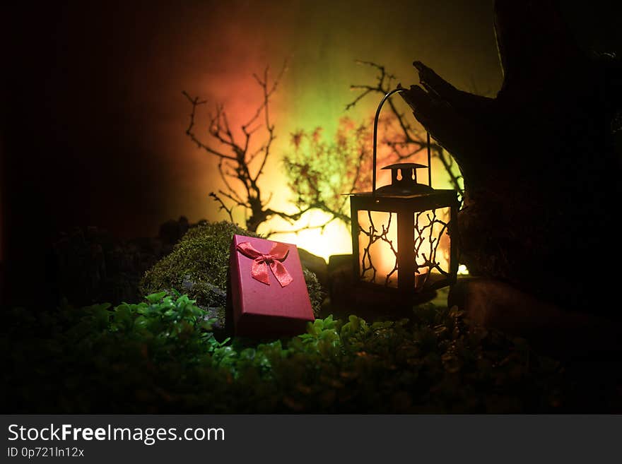 Valentine`s Day love concept. Beautiful artwork decoration with little giftbox and old vintage lantern at night. Giftbox in decorated fake forest with stones at night. Empty space selective focus. Valentine`s Day love concept. Beautiful artwork decoration with little giftbox and old vintage lantern at night. Giftbox in decorated fake forest with stones at night. Empty space selective focus