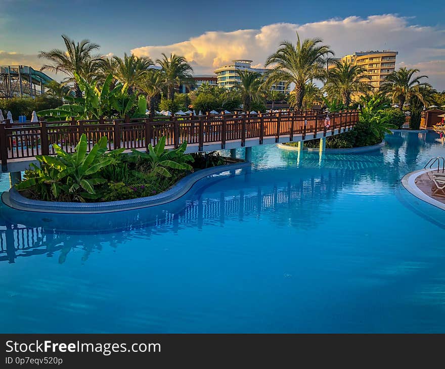 Palm trees in a dreamlike environment and Blue sky