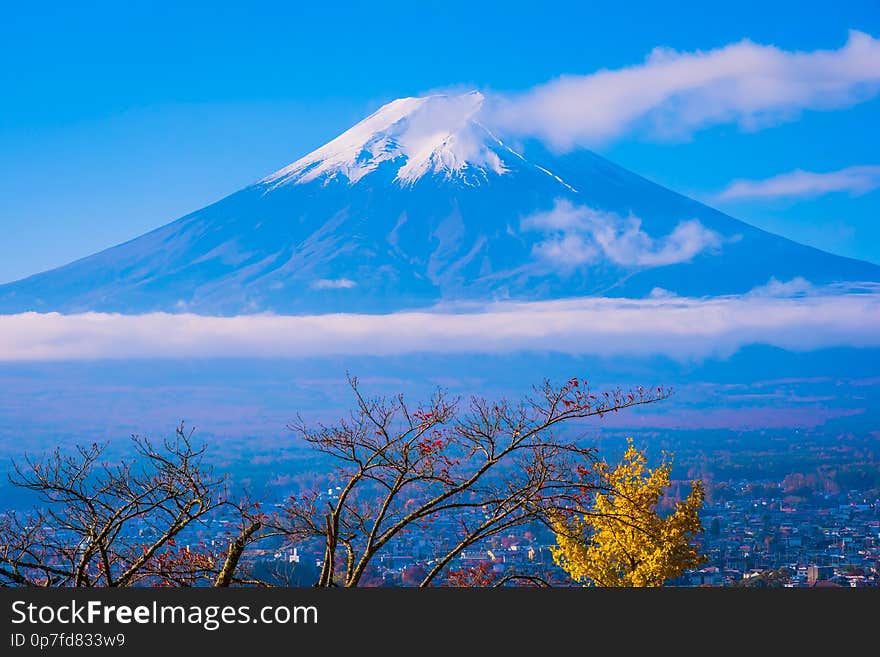 Beautiful landscape of mountain fuji around maple leaf tree in autumn season