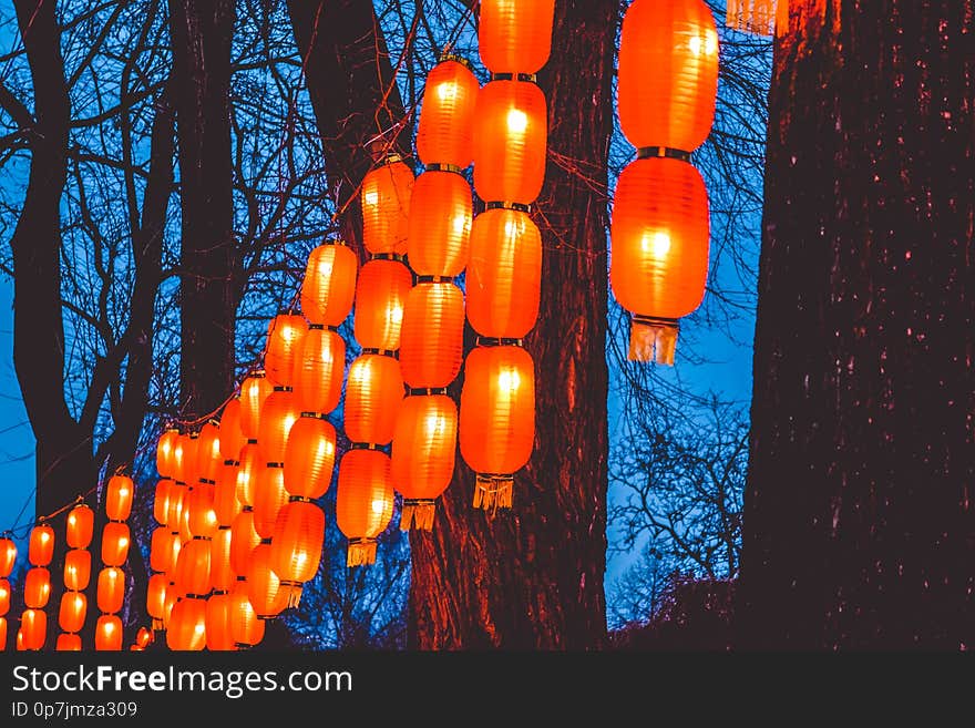 Tapes on trees in the park from the Chinese orange small lamps. The lit street at night. Lighting.