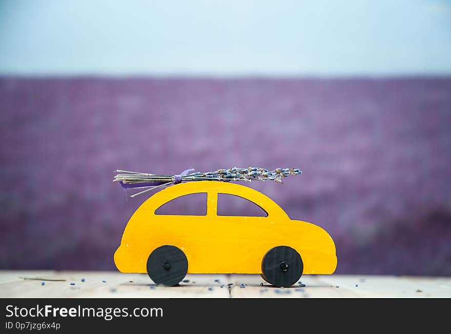 Concept journey through the lavender fields, car with a bouquet of lavender rides on the background of a lavender field