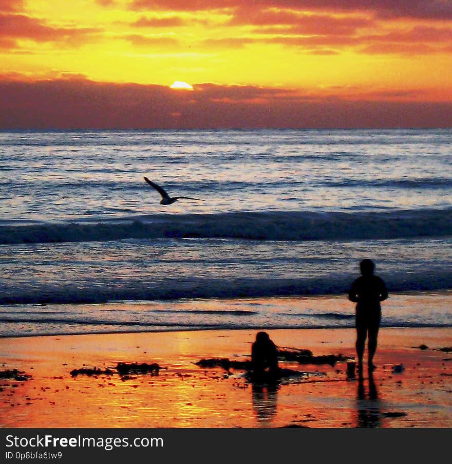 Taken at La Jolla Shores Beach on a late summer night back but the beaches were already half as crowded and though waters are warm. It felt like a golden time when summer was slipping away. for more happiness click this link to magic photos flic.kr/p/LdbFow. Taken at La Jolla Shores Beach on a late summer night back but the beaches were already half as crowded and though waters are warm. It felt like a golden time when summer was slipping away. for more happiness click this link to magic photos flic.kr/p/LdbFow