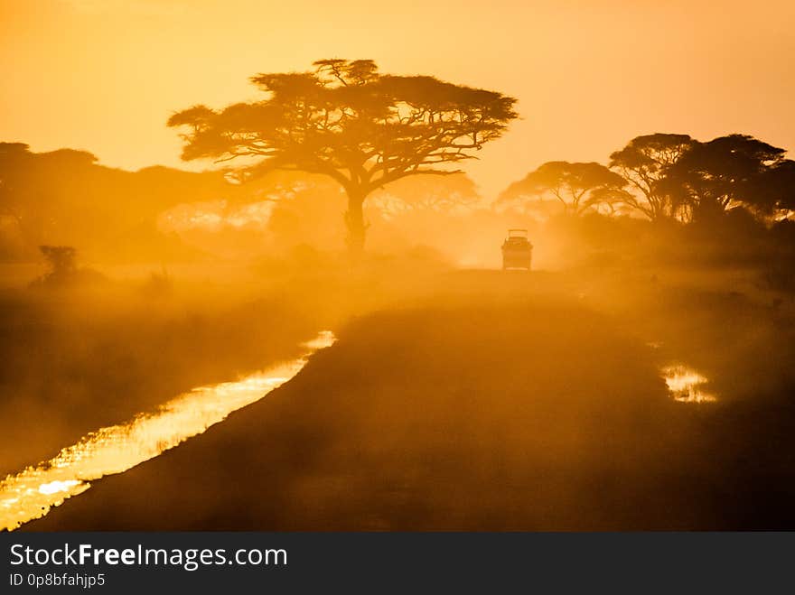 Roads of Africa