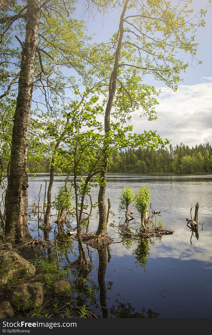 Evo Hiking Area is just a short drive away from the big cities of Southern Finland. Evo Hiking Area is just a short drive away from the big cities of Southern Finland.