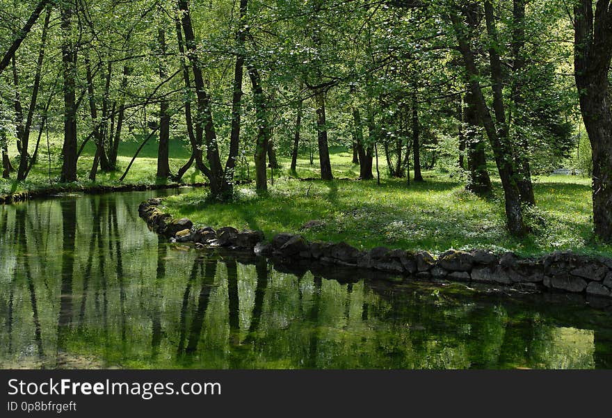 green nature