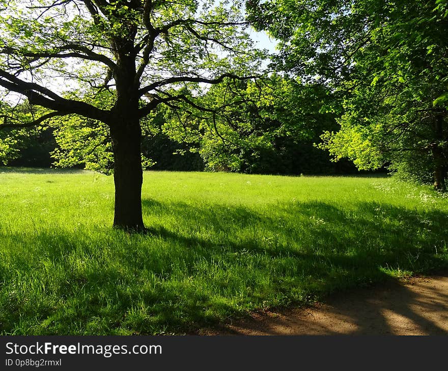 GroÃŸer Garten Park Dresden