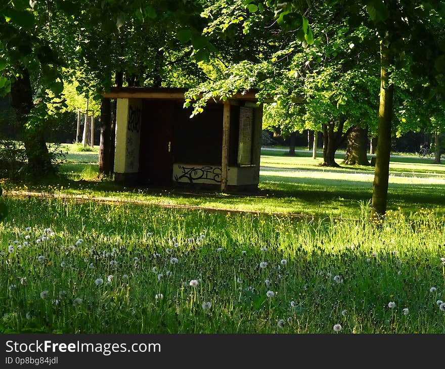 GroÃŸer Garten Park Dresden