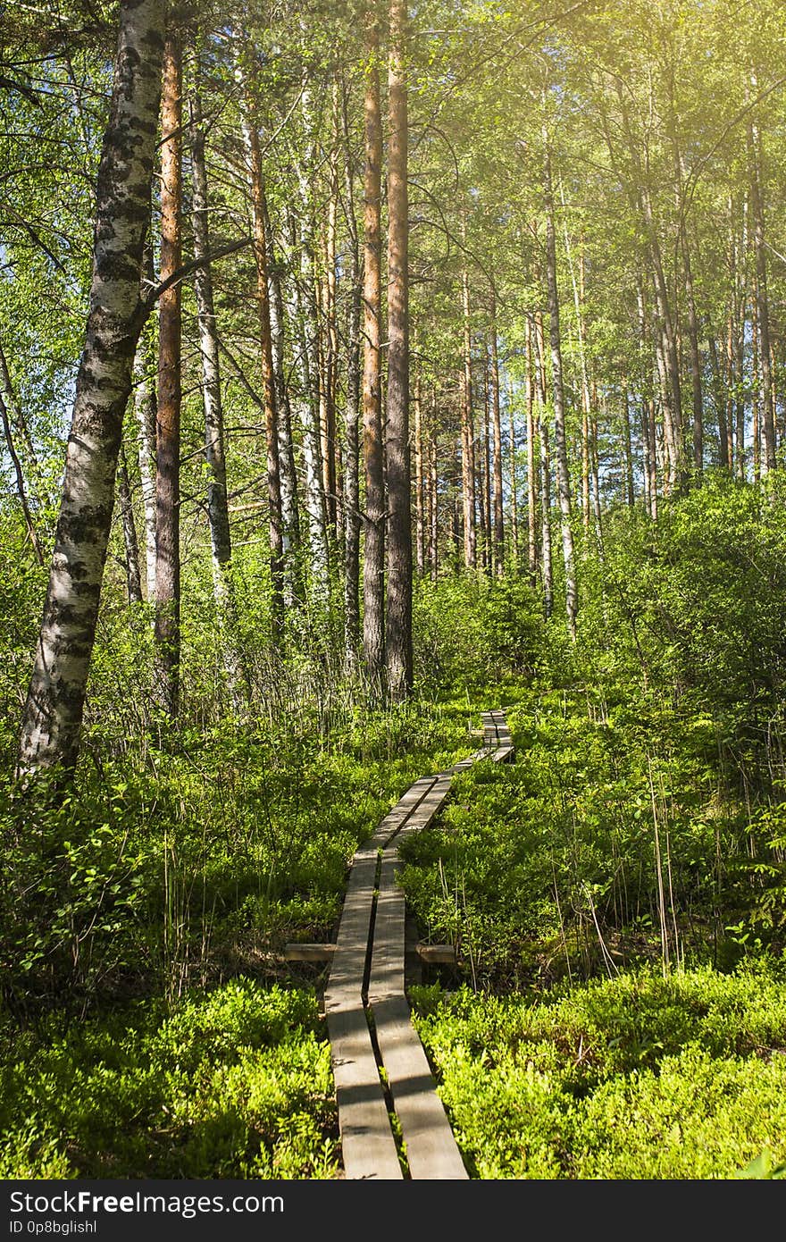 Tammela, Finland