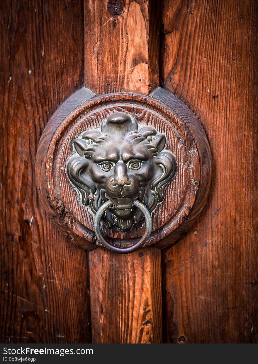 Antique door knocker shaped like a lion`s head. Antique door knocker shaped like a lion`s head