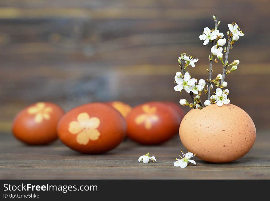 Easter decoration. Spring flowers in eggshell