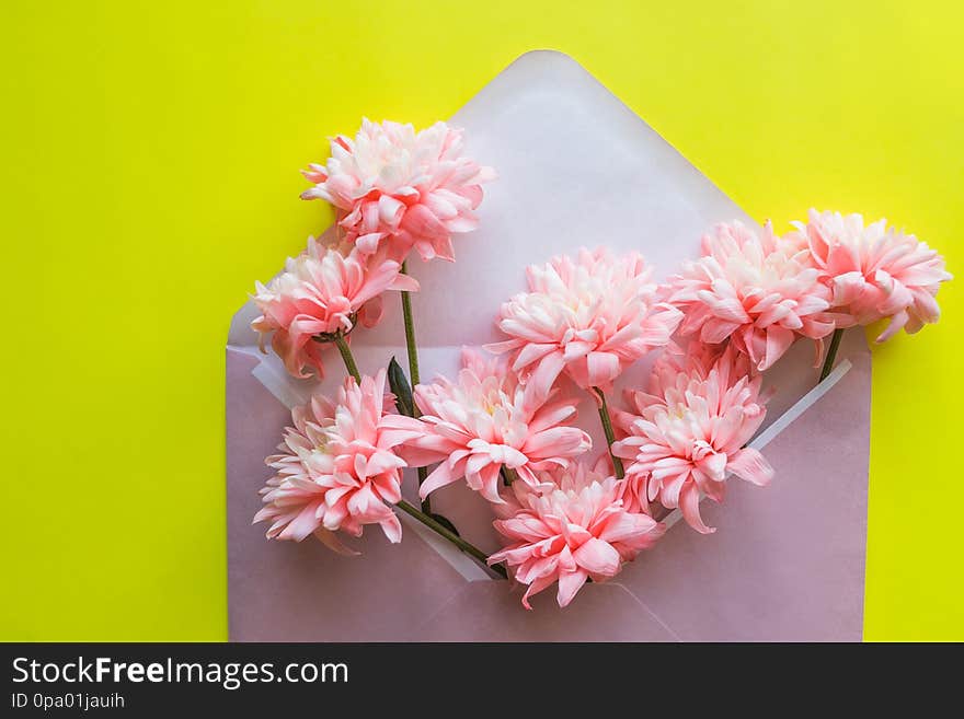 Pink flowers, envelope and empty paper card. Birthday, Valentines Day, Mothers Day, Womens Day, celebration concept. Pink flowers, envelope and empty paper card. Birthday, Valentines Day, Mothers Day, Womens Day, celebration concept