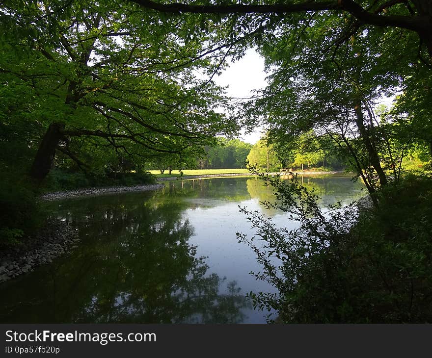 Großer Garten Park Dresden