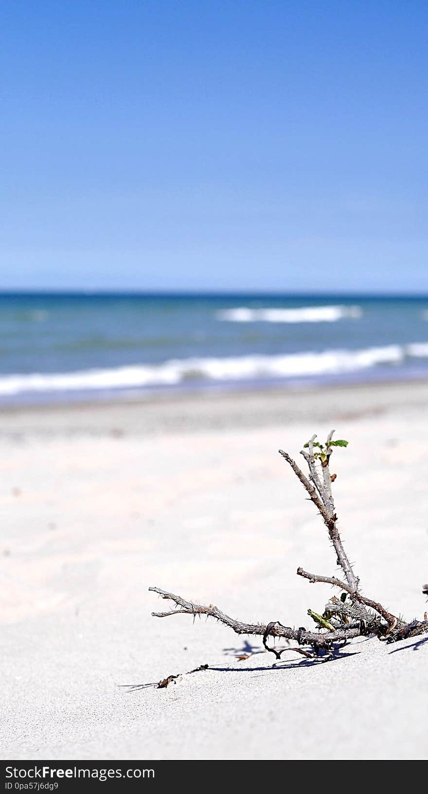 at the sea