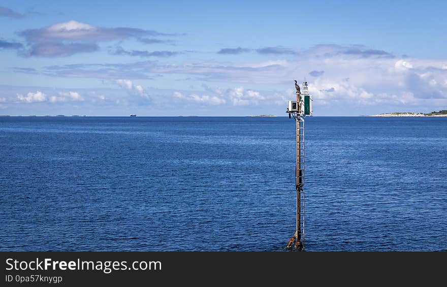 Cormorant watchtower