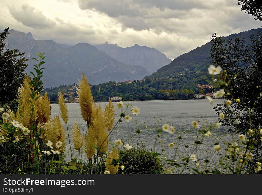 The peninsula of Bellagio extends with the town and its suburbs, on the banks, the false plain and on the hills which precede the northern extremity of the Larian promontory. For its position it has stupendous views of a large part of the lake with its mountains. About 150,000 visitors per year come to Bellagio to lose themselves in the characteristic little steep streets which house many shops or in the romantic gardens of Villa Melzi or in those of Villa Serbelloni. LAKE COMO ITALY AUTUMN 2012 See where this picture was taken. [?]. The peninsula of Bellagio extends with the town and its suburbs, on the banks, the false plain and on the hills which precede the northern extremity of the Larian promontory. For its position it has stupendous views of a large part of the lake with its mountains. About 150,000 visitors per year come to Bellagio to lose themselves in the characteristic little steep streets which house many shops or in the romantic gardens of Villa Melzi or in those of Villa Serbelloni. LAKE COMO ITALY AUTUMN 2012 See where this picture was taken. [?]