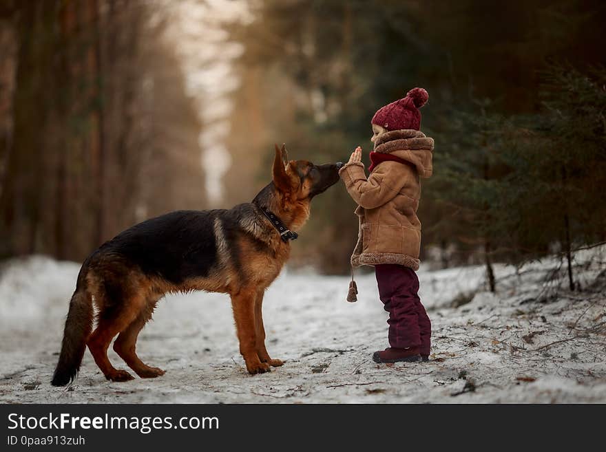 Little girl with German shepherd 6-th months puppy at early spring