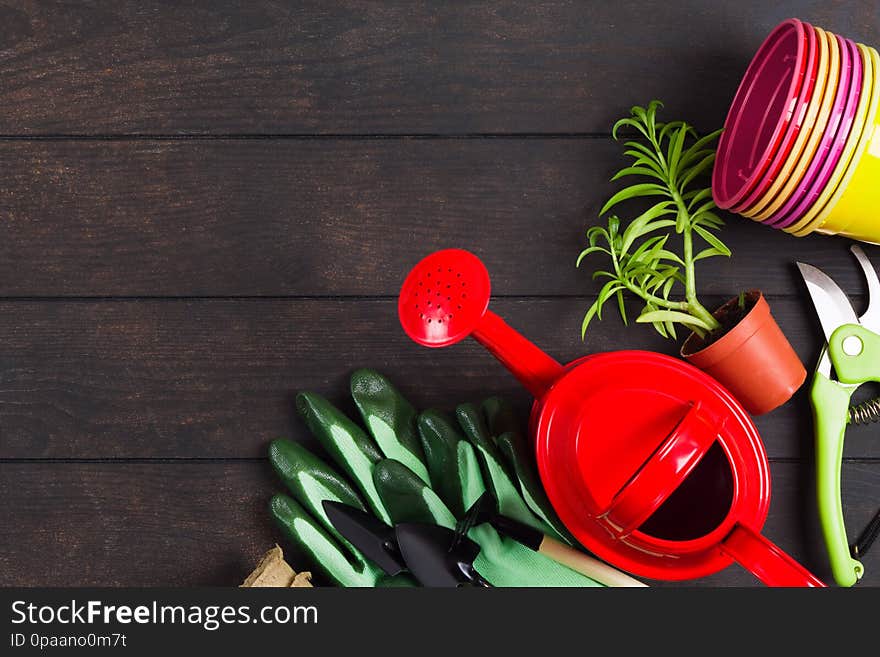 Gardening still life concept with red watering can, gloves, succulent , pruner and colorful pots on wooden background