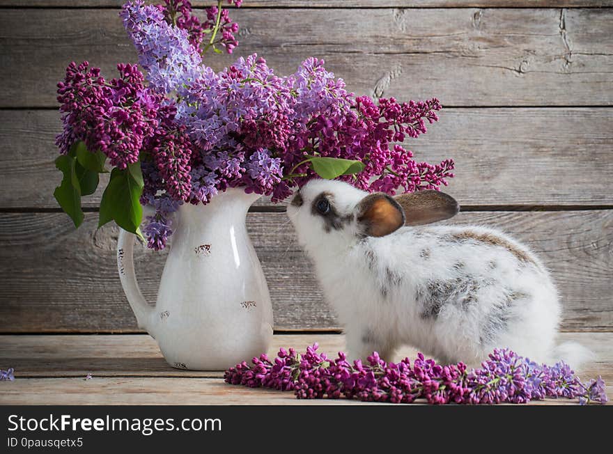 Easter bunny with lilac on old wooden background