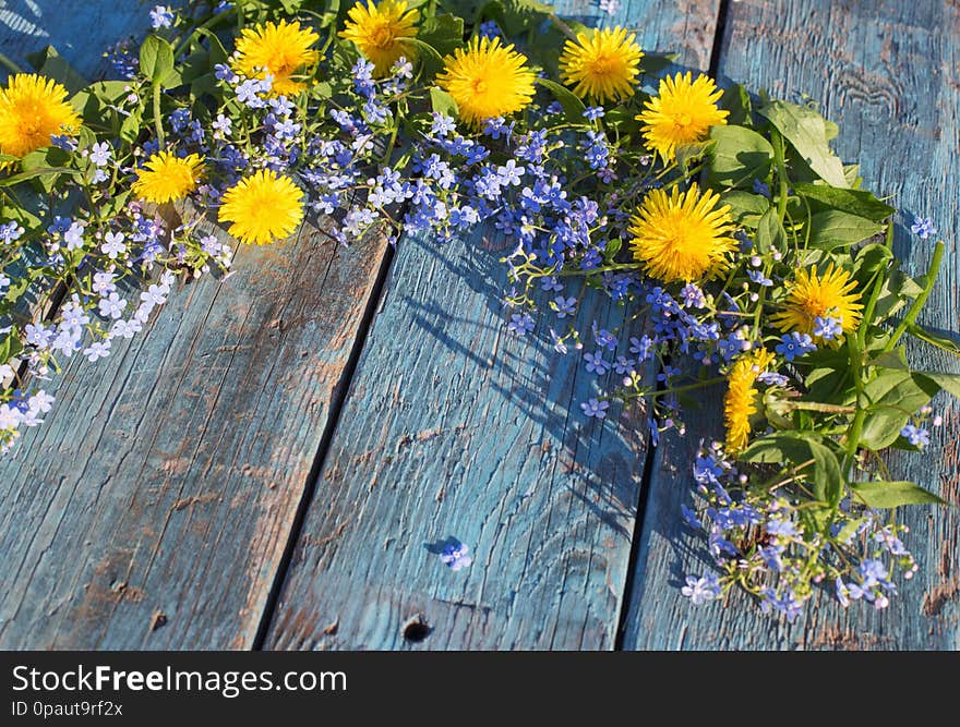 Blue and yellow  flowers on old wooden background