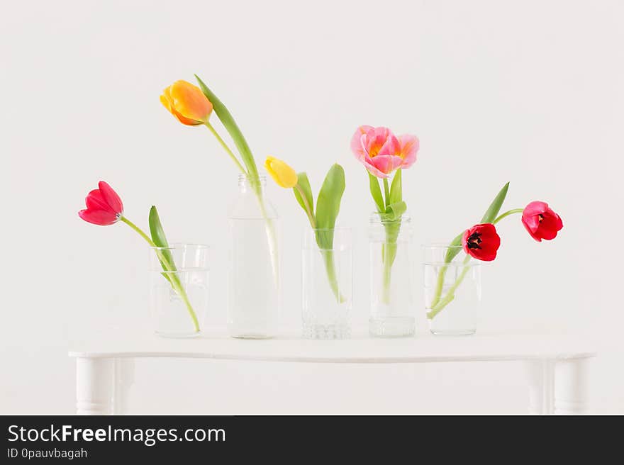 The tulips in glass bottles on white background