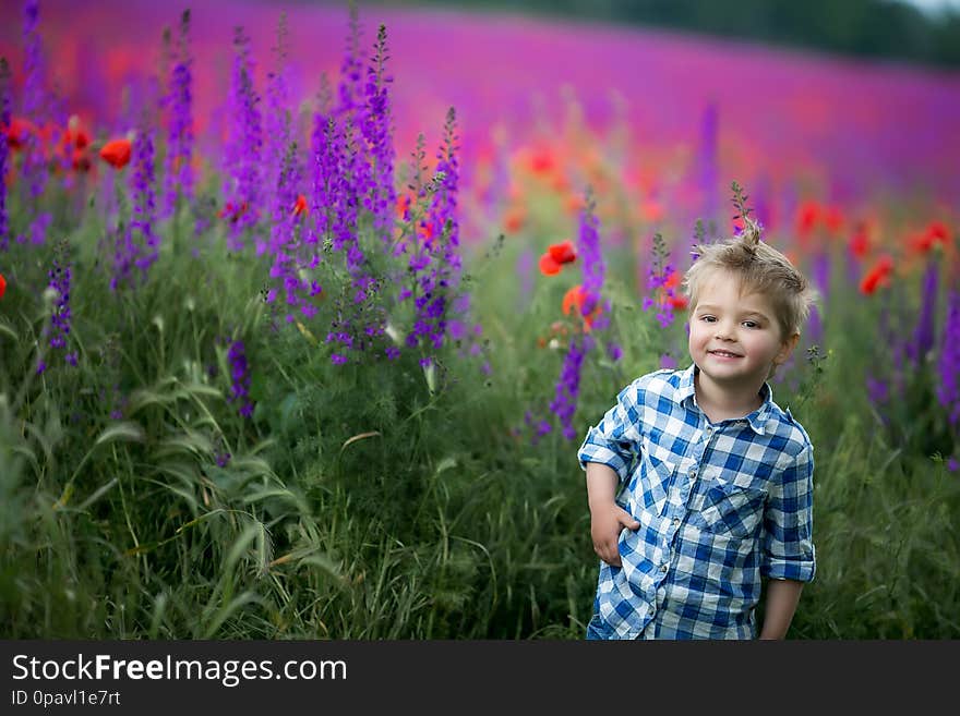 Little cute boy in field with red poppies and blue sky