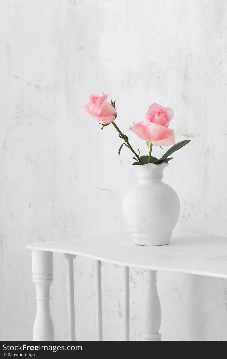 Pink roses on vase on white background