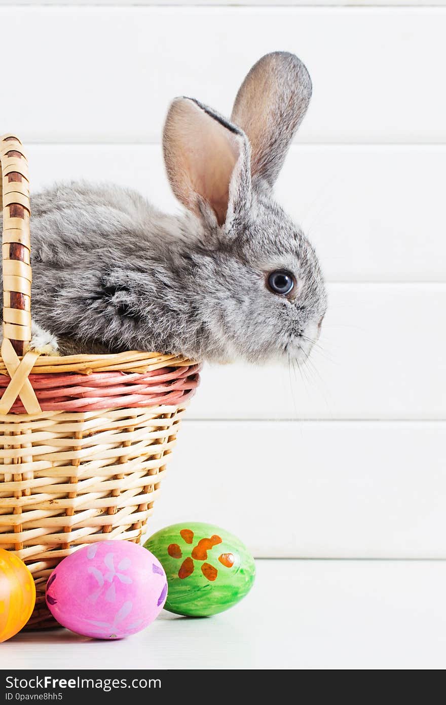 Easter bunny with eggs on white wooden  background. Easter bunny with eggs on white wooden  background