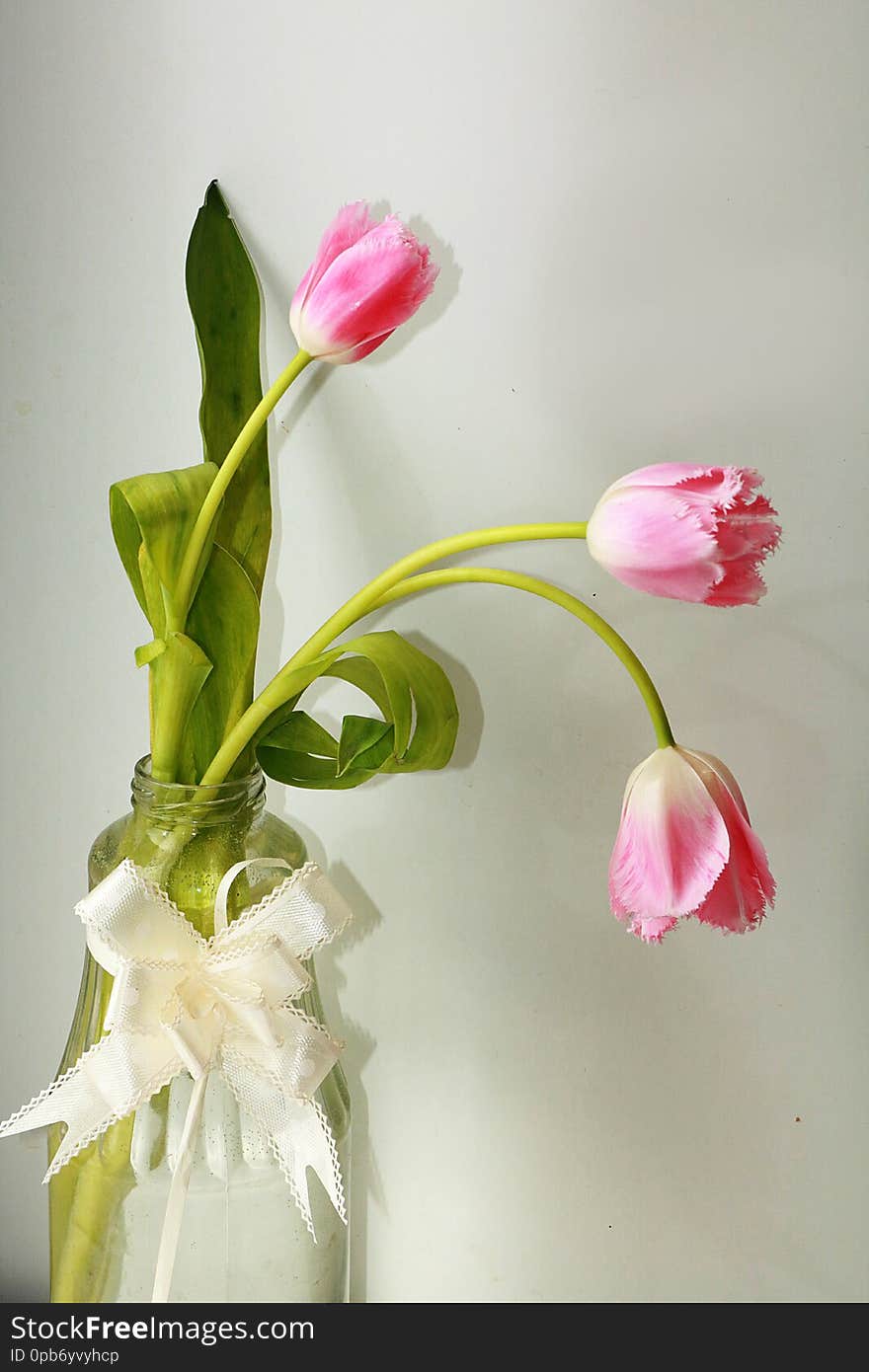 A Bouquet Of Flowers On The Window