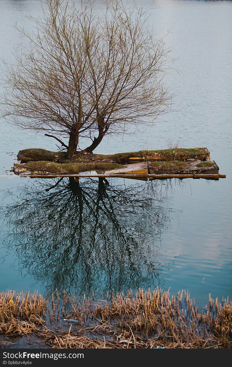 Small artificial island with two trees on a lake. Reflection in water. Environment for birds. Small artificial island with two trees on a lake. Reflection in water. Environment for birds