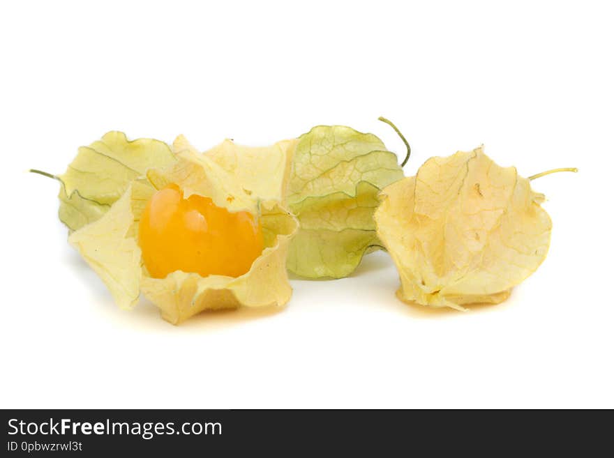 Physalis isolated on a white background. cape gooseberry