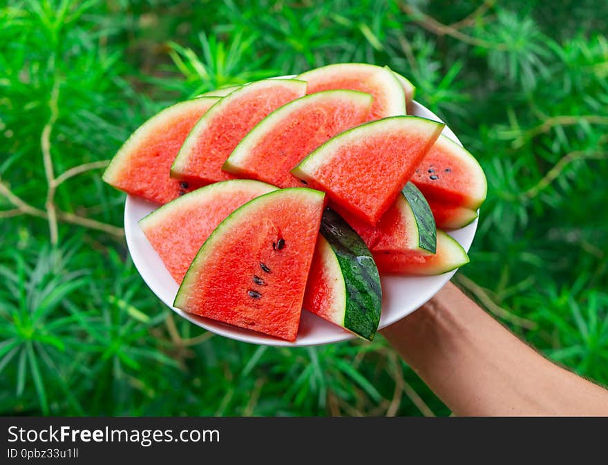 Hand holding plate with ripe watermelon triangle slices on green background, summertime