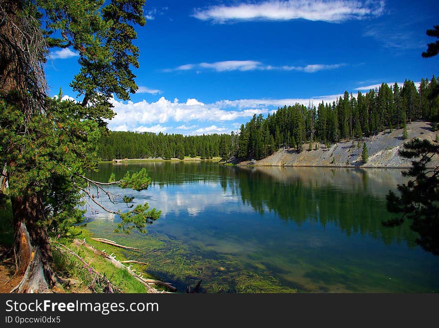 Yellowstone River, Yellowstone National Park &#x28;a UNESCO World Heritage Site, Wyoming, August 7, 2010