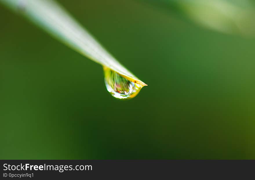 Water Drop