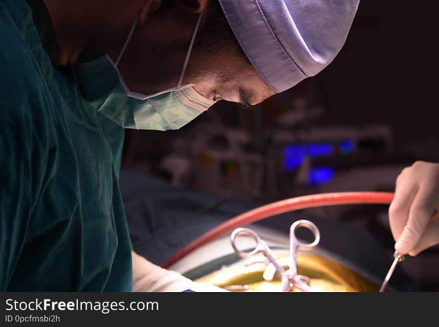 Veterinarian Surgery In Operation Room